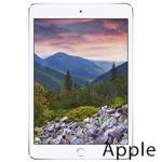 Ремонт Apple iPad mini 2 в Пензе