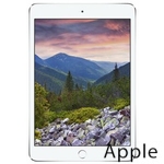 Ремонт Apple iPad mini 3 в Пензе