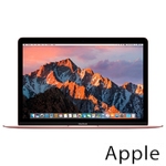 Ремонт Apple MacBook Mid в Пензе