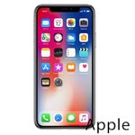 Ремонт iPhone X(10) в Пензе